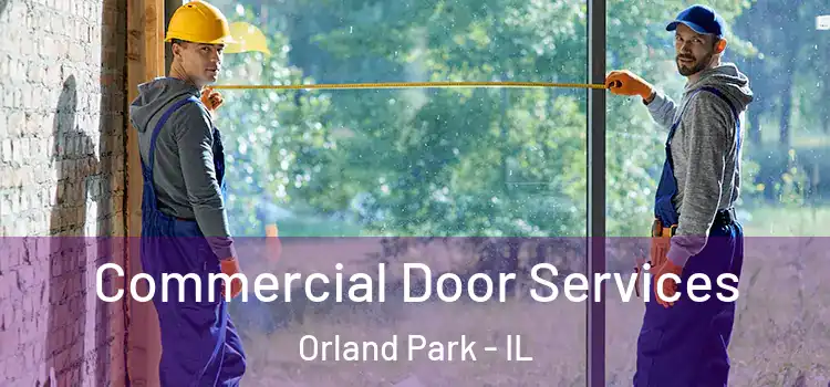 Commercial Door Services Orland Park - IL
