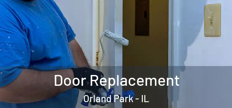 Door Replacement Orland Park - IL