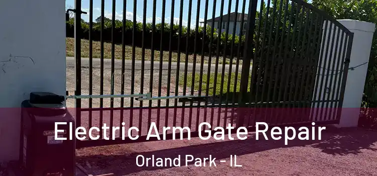 Electric Arm Gate Repair Orland Park - IL