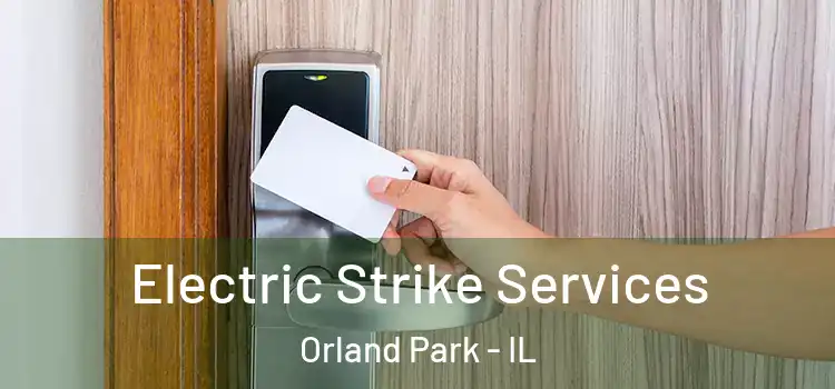  Electric Strike Services Orland Park - IL