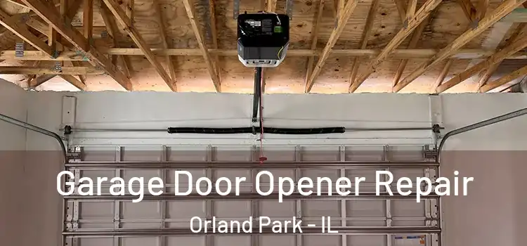 Garage Door Opener Repair Orland Park - IL