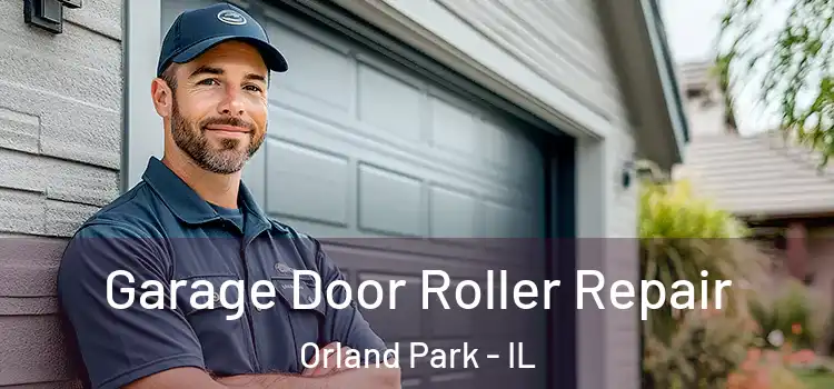  Garage Door Roller Repair Orland Park - IL