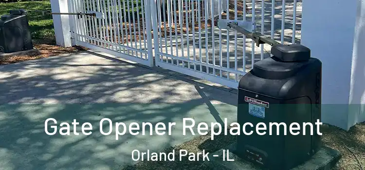 Gate Opener Replacement Orland Park - IL