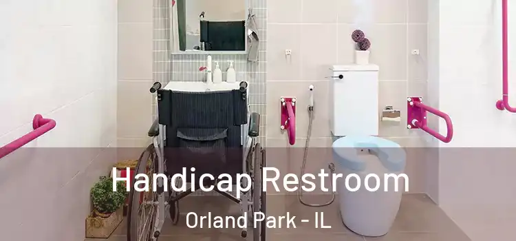  Handicap Restroom Orland Park - IL