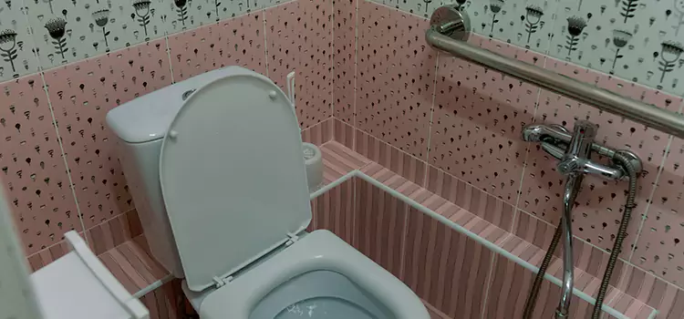 Meeting Diverse Needs With Accessible Restroom Solutions in Orland Park, IL