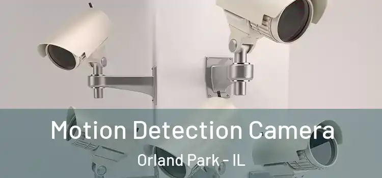  Motion Detection Camera Orland Park - IL